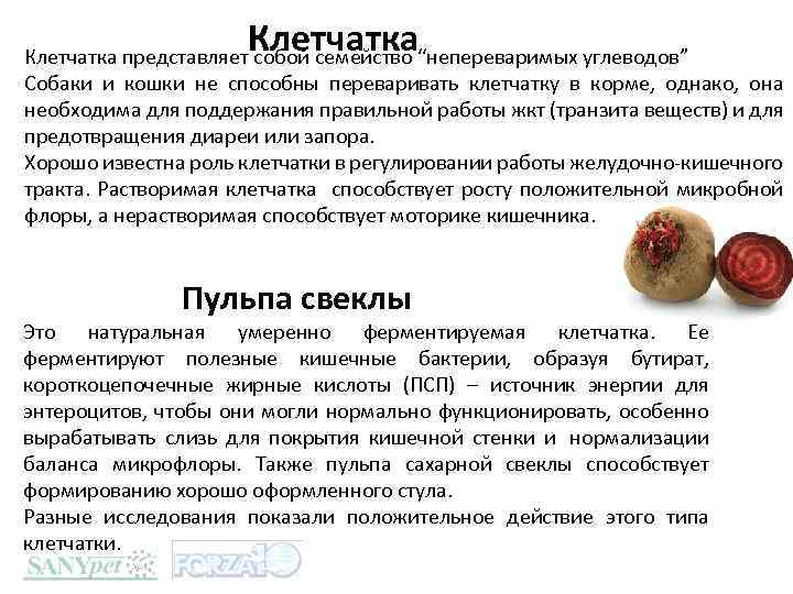 Клетчатка представляет собой семейство “непереваримых углеводов” Собаки и кошки не способны переваривать клетчатку в