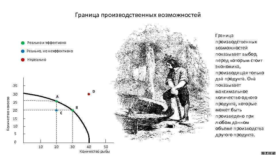 Граница производственных возможностей Реально и эффективно Реально, но неэффективно Нереально Количество кокосов 35 D