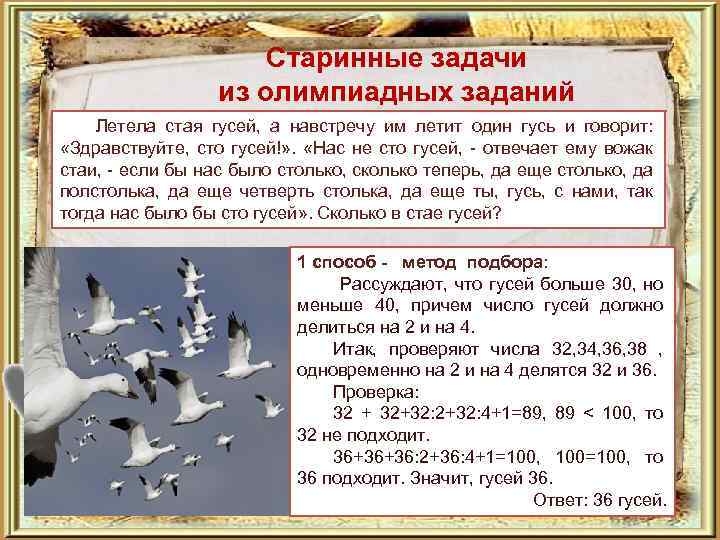 Старинные задачи из олимпиадных заданий Летела стая гусей, а навстречу им летит один гусь