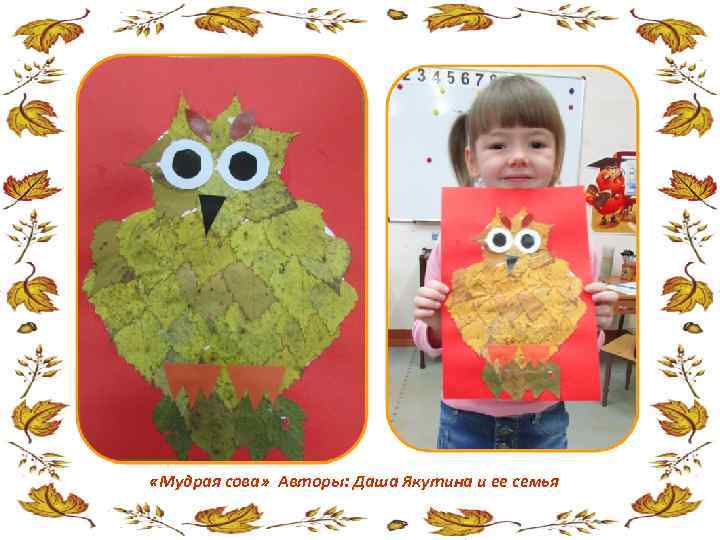  «Мудрая сова» Авторы: Даша Якутина и ее семья 