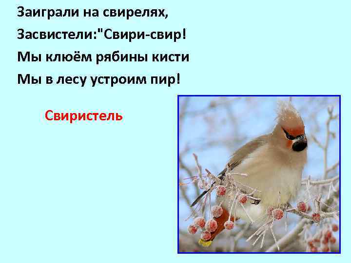 Заиграли на свирелях, Засвистели: 