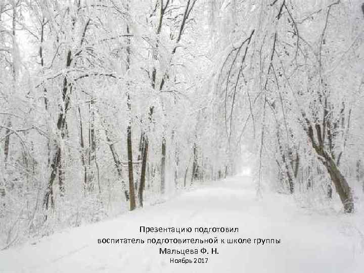 Презентацию подготовил воспитатель подготовительной к школе группы Мальцева Ф. Н. Ноябрь 2017 