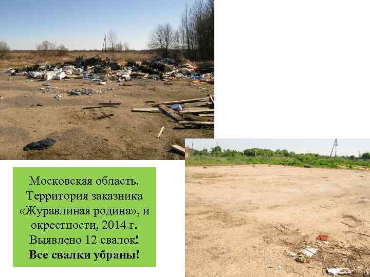 Московская область. Территория заказника «Журавлиная родина» , и окрестности, 2014 г. Выявлено 12 свалок!