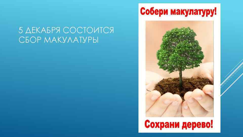 5 ДЕКАБРЯ СОСТОИТСЯ СБОР МАКУЛАТУРЫ 