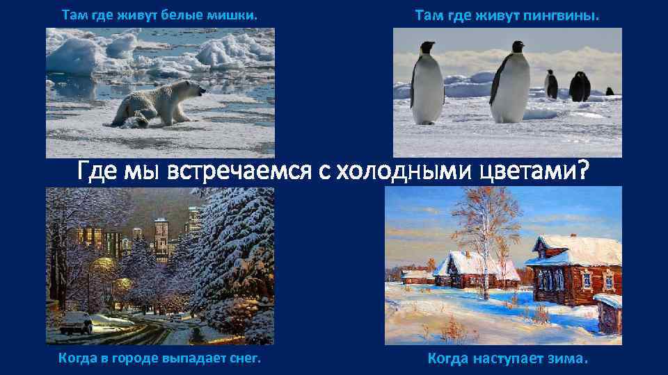 Там где живут белые мишки. Там где живут пингвины. Где мы встречаемся с холодными
