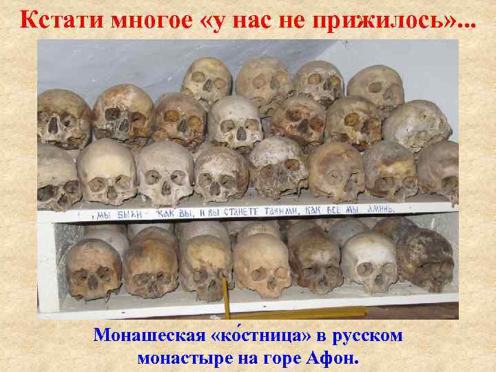 Кстати многое «у нас не прижилось» . . . Монашеская «ко стница» в русском