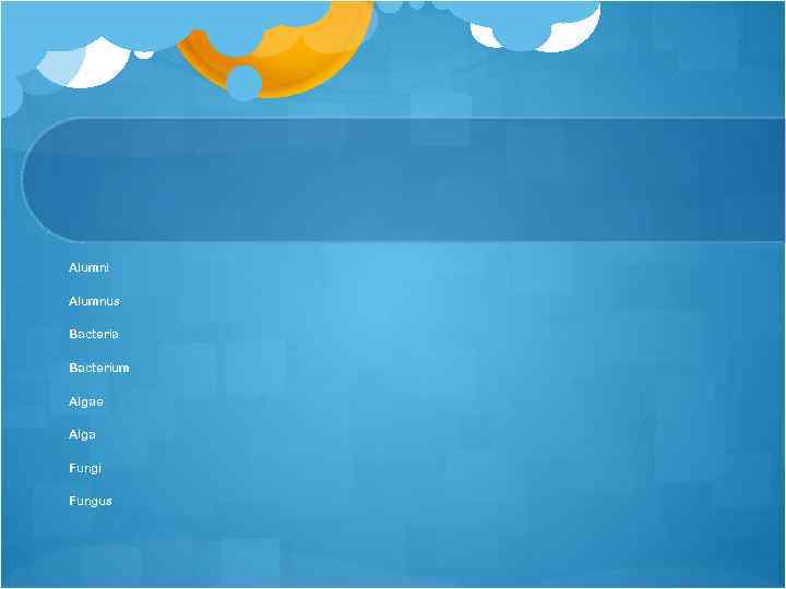 Alumni Alumnus Bacteria Bacterium Algae Alga Fungi Fungus 