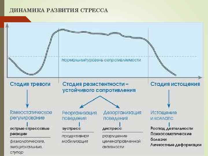 ДИНАМИКА РАЗВИТИЯ СТРЕССА 