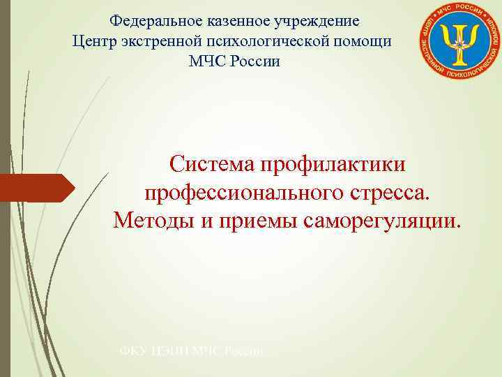 Федеральное казенное учреждение Центр экстренной психологической помощи МЧС России Система профилактики профессионального стресса. Методы