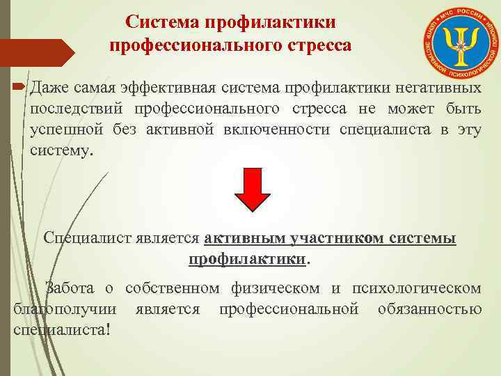 Система профилактики профессионального стресса Даже самая эффективная система профилактики негативных последствий профессионального стресса не