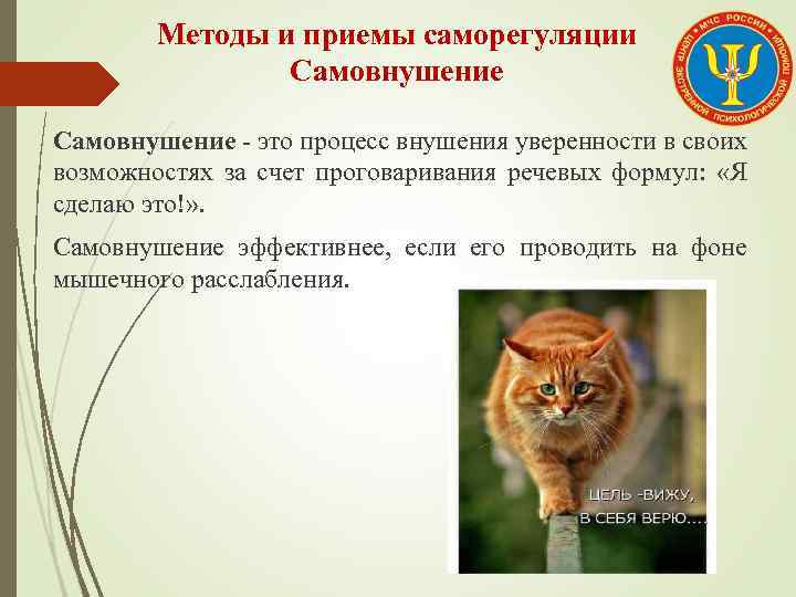 Методы и приемы саморегуляции Самовнушение это процесс внушения уверенности в своих возможностях за счет