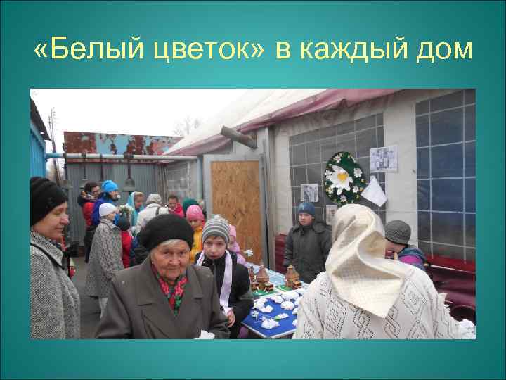  «Белый цветок» в каждый дом 