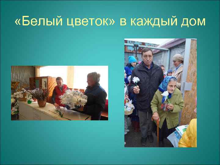  «Белый цветок» в каждый дом 