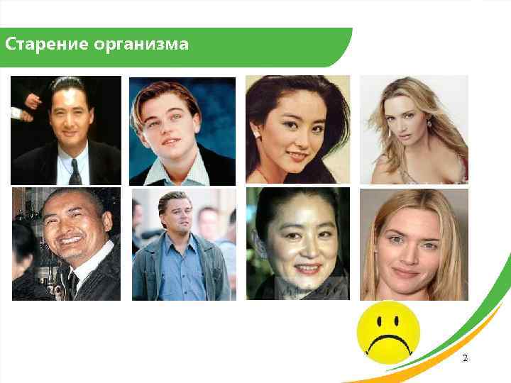 Старение организма 2 