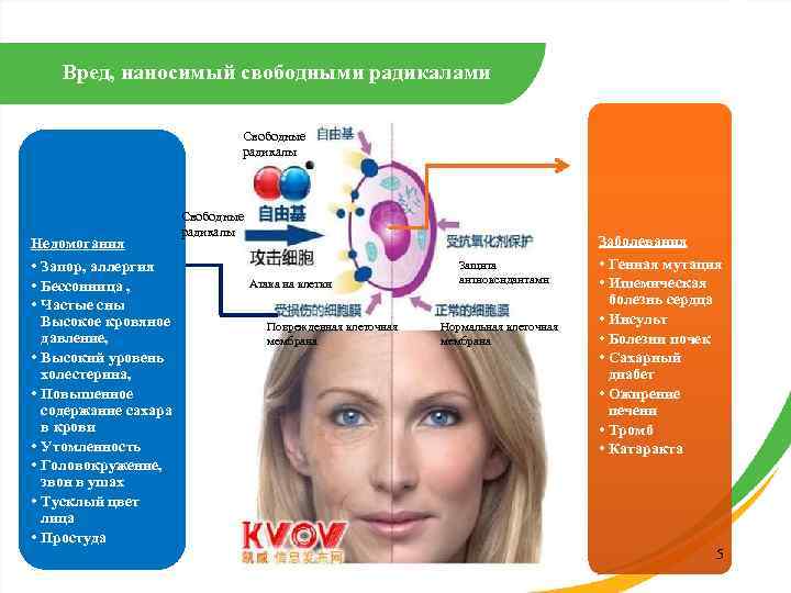Вред, наносимый свободными радикалами Свободные радикалы Недомогания • Запор, аллергия • Бессонница , •