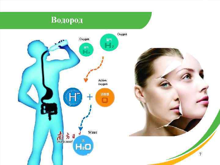 Водород Oxygen Active oxygen ＋ Water 7 
