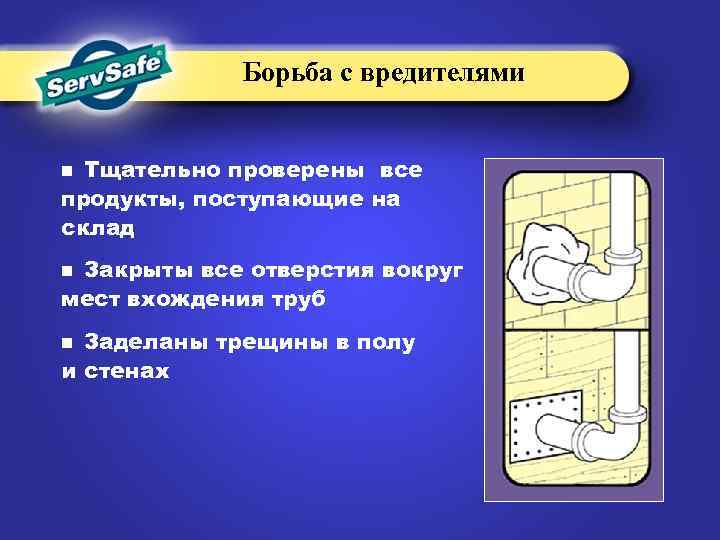 Борьба с вредителями Тщательно проверены все продукты, поступающие на склад n Закрыты все отверстия