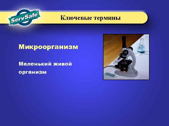 Ключевые термины Микроорганизм Маленький живой организм 