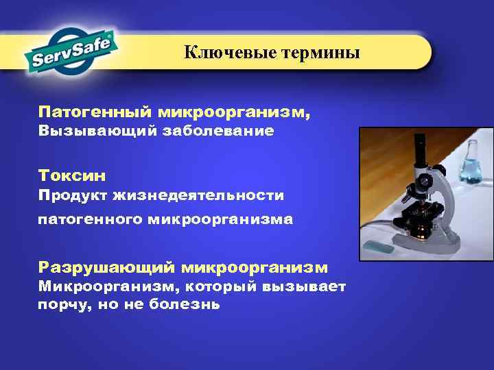 Ключевые термины Патогенный микроорганизм, Вызывающий заболевание Токсин Продукт жизнедеятельности патогенного микроорганизма Разрушающий микроорганизм Микроорганизм,