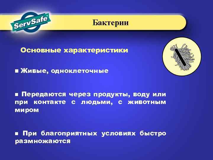 Бактерии Основные характеристики n Живые, одноклеточные Передаются через продукты, воду или при контакте с