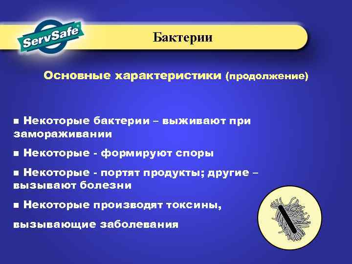Бактерии Основные характеристики (продолжение) Некоторые бактерии – выживают при замораживании n n Некоторые -