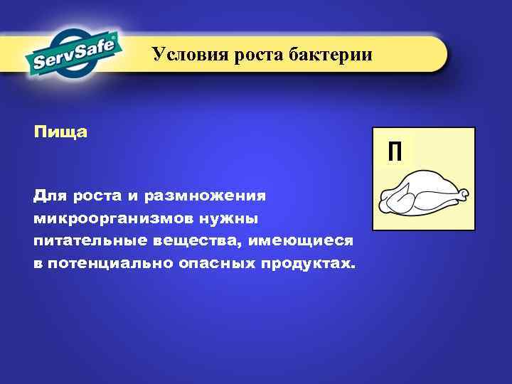 Условия роста бактерии Пища Для роста и размножения микроорганизмов нужны питательные вещества, имеющиеся в