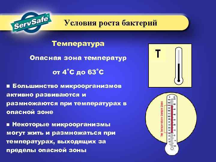 Условия роста бактерий Температура Опасная зона температур от 4˚C до 63˚C n Большинство микроорганизмов