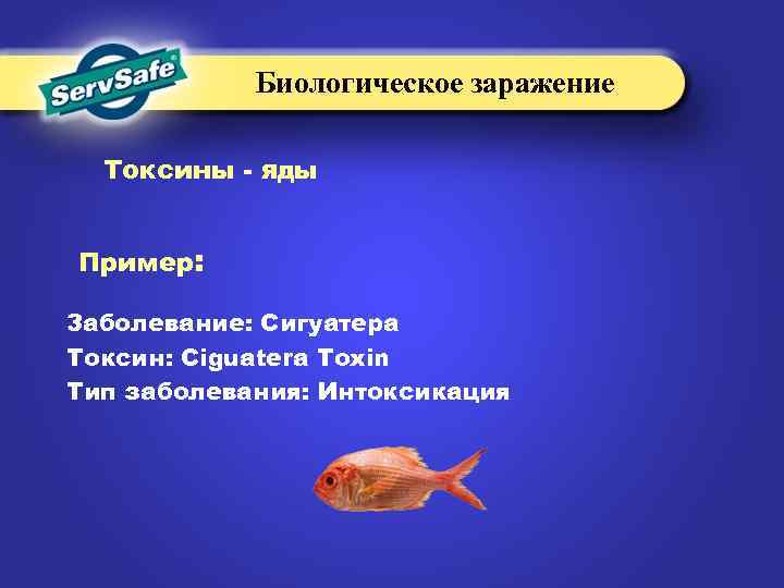 Биологическое заражение Токсины - яды Пример: Заболевание: Сигуатера Токсин: Ciguatera Toxin Тип заболевания: Интоксикация