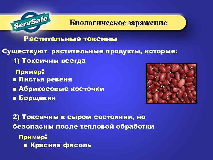 Биологическое заражение Растительные токсины Существуют растительные продукты, которые: 1) Токсичны всегда Пример: n n