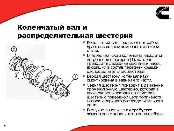 Коленчатый вал и распределительная шестерня § Коленчатый вал представляет собой § § 17 уравновешенный