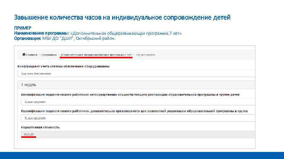 Завышение количества часов на индивидуальное сопровождение детей ПРИМЕР Наименование программы: «Дополнительная общеразвивающая программа, 7