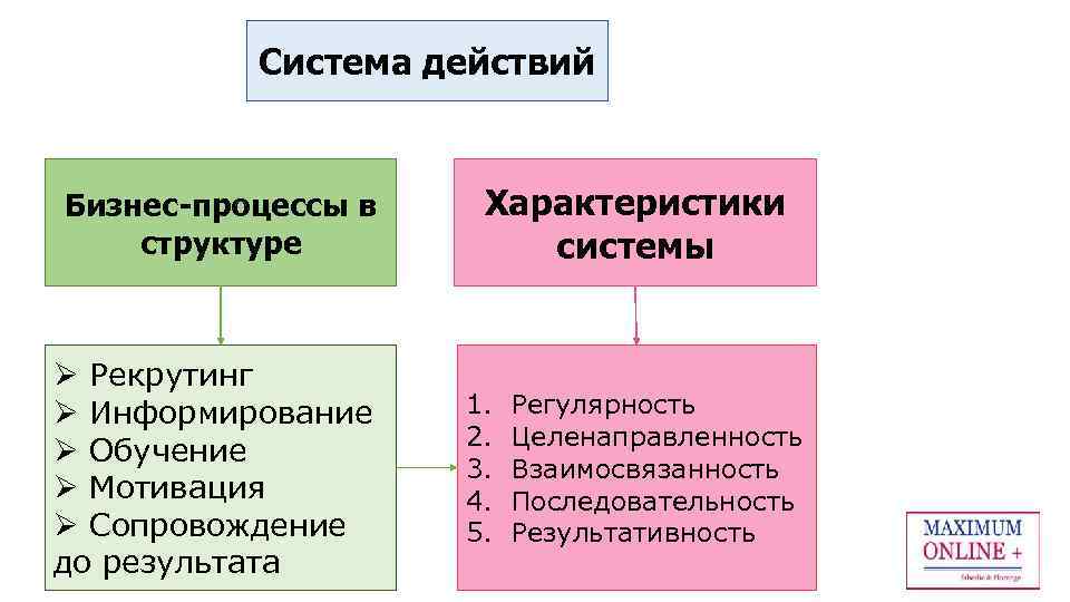 Система действий Бизнес-процессы в структуре Ø Рекрутинг Ø Информирование Ø Обучение Ø Мотивация Ø