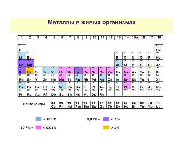 Металлы в живых организмах 