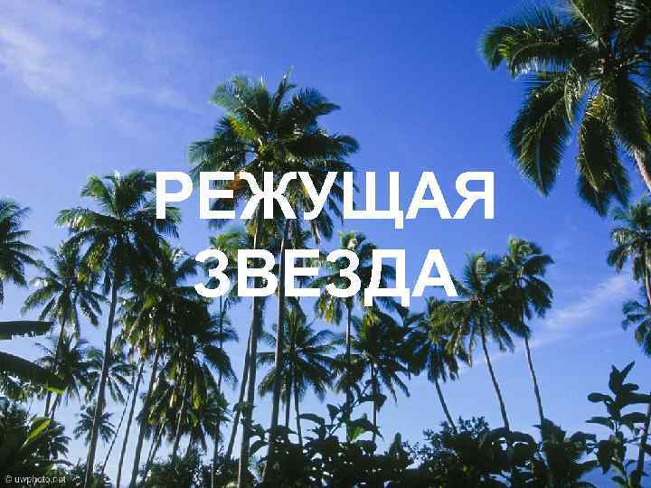 РЕЖУЩАЯ ЗВЕЗДА 