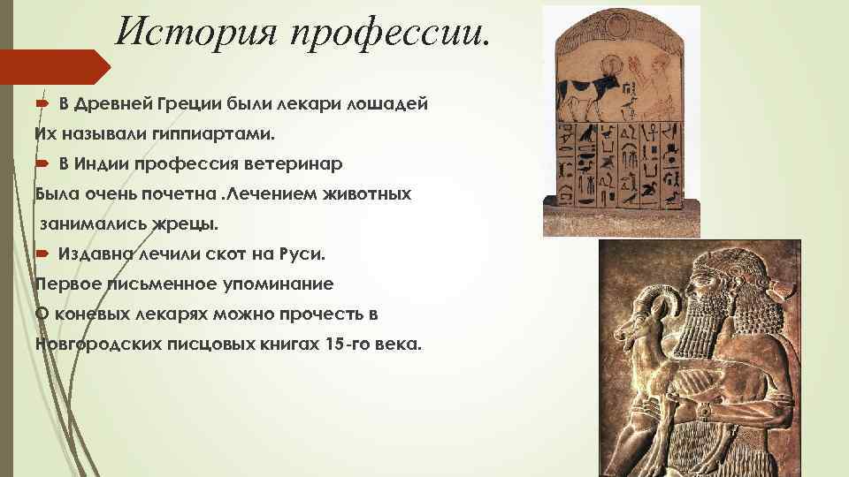 История профессии. В Древней Греции были лекари лошадей Их называли гиппиартами. В Индии профессия