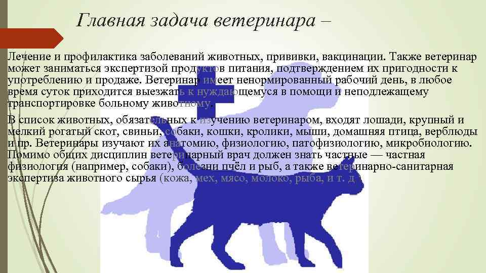 Главная задача ветеринара – Лечение и профилактика заболеваний животных, прививки, вакцинации. Также ветеринар может