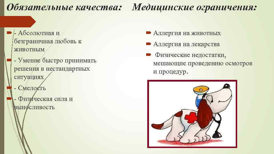 Обязательные качества: - Абсолютная и безграничная любовь к животным - Умение быстро принимать решения