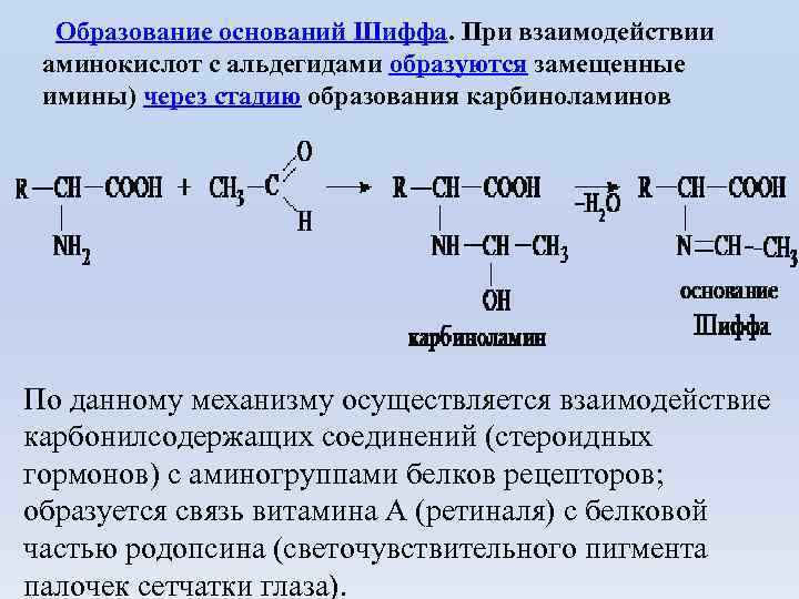  Образование оснований Шиффа. При взаимодействии аминокислот с альдегидами образуются замещенные имины) через стадию образования