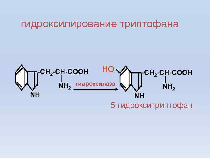 гидроксилирование триптофана -CH 2 -CH-COOH НО -CH 2 -CH-COOH NH 2 гидроксилаза NH NH
