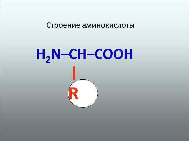 Строение аминокислоты H 2 N–CH–COOH | R 