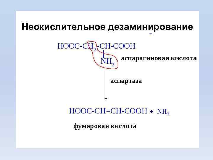 Неокислительное дезаминирование 