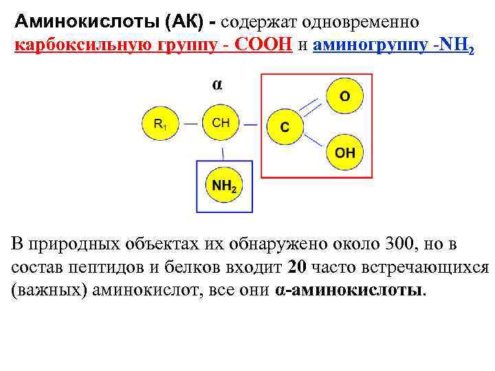 Аминокислоты (АК) - содержат одновременно карбоксильную группу - СООН и аминогруппу -NН 2 В