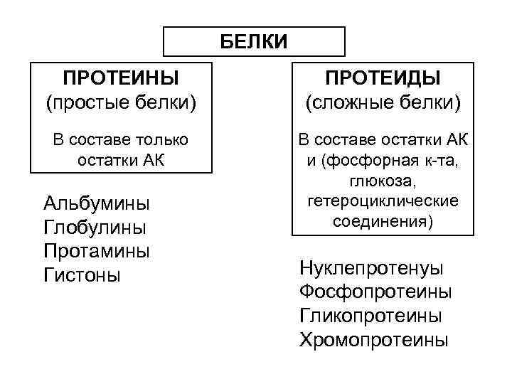 БЕЛКИ ПРОТЕИНЫ (простые белки) ПРОТЕИДЫ (сложные белки) В составе только остатки АК В составе