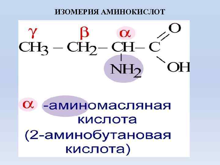 ИЗОМЕРИЯ АМИНОКИСЛОТ 