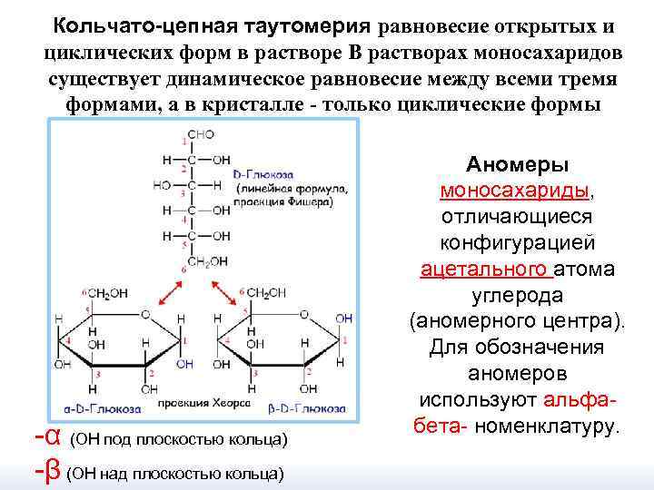 Кольчато-цепная таутомерия равновесие открытых и циклических форм в растворе В растворах моносахаридов существует динамическое