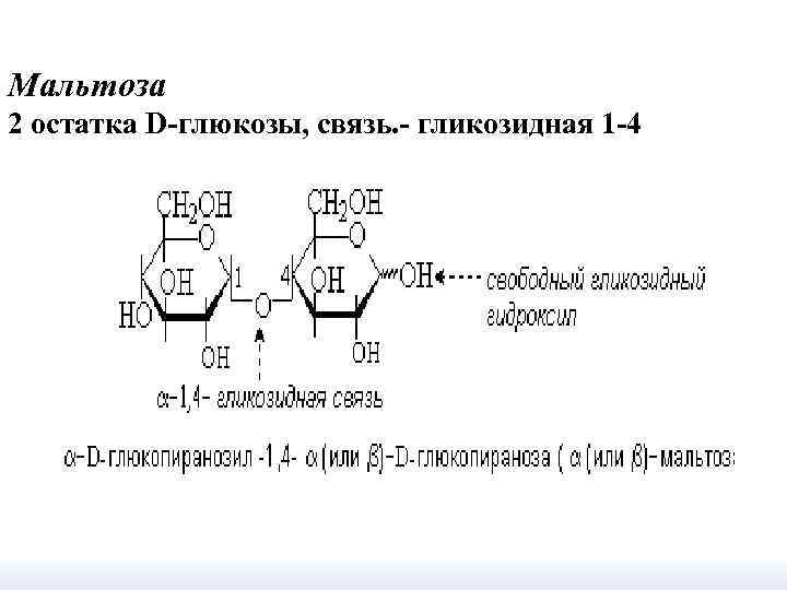 Мальтоза 2 остатка D-глюкозы, связь. - гликозидная 1 -4 