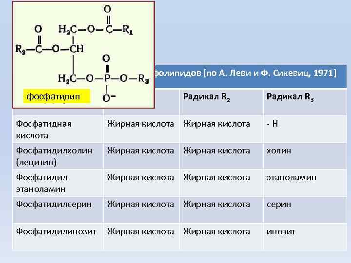 Строение основных глицерофосфолипидов [по А. Леви и Ф. Сикевиц, 1971] фосфатидил Название Радикал R