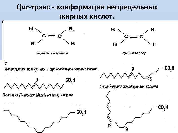 Цис-транс - конформация непредельных жирных кислот. В первом случае вещество называют цис-изомером, во втором