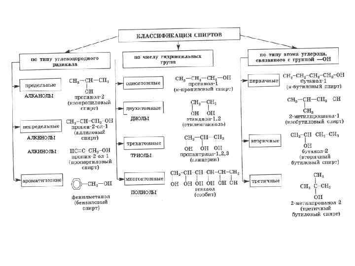 АЛКАНОЛЫ ДИОЛЫ АЛКЕНОЛЫ АЛКИНОЛЫ ТРИОЛЫ ПОЛИОЛЫ 