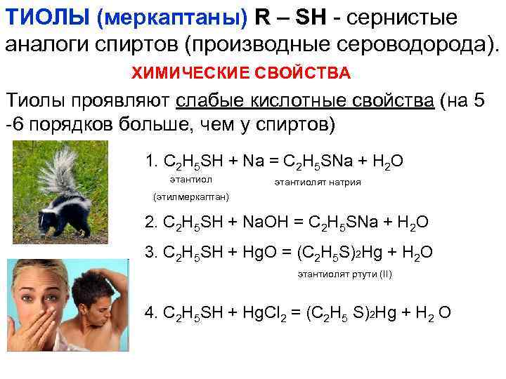 ТИОЛЫ (меркаптаны) R – SH - сернистые аналоги спиртов (производные сероводорода). ХИМИЧЕСКИЕ СВОЙСТВА Тиолы